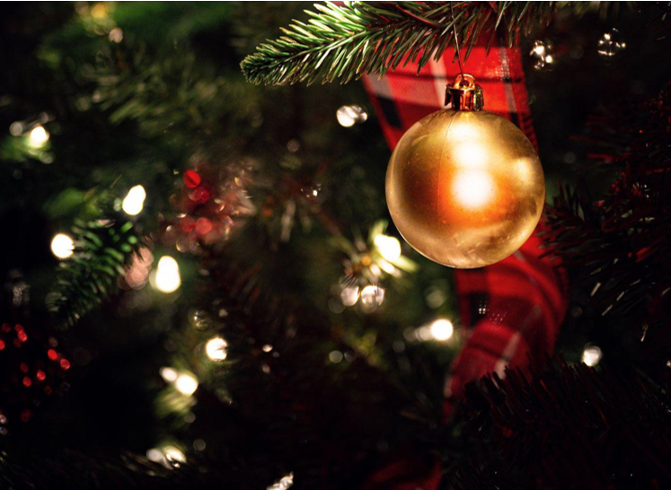 Illuminating Your Holidays: Christmas Trees